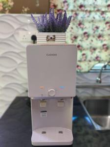 a flower pot sitting on top of a machine with purple flowers at IRDINA HOMESTAY forMuslims - Changlun in Changlun +22 photos