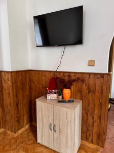 TV a/nebo společenská místnost v ubytování Hřensko 27 Apartmány