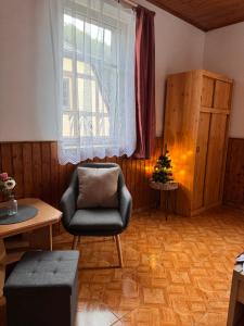 a living room with a chair and a window at Hřensko 27 Apartmány in Hřensko