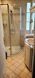 a bathroom with a shower and a sink at Logement entier 2 chambres in Futeau