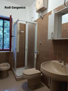 ein Bad mit einem WC, einer Dusche und einem Waschbecken in der Unterkunft Marechiaro in Foce Varano