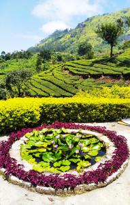 a large flower garden with flowers in the middle at Blackcherry Munnar in Munnar