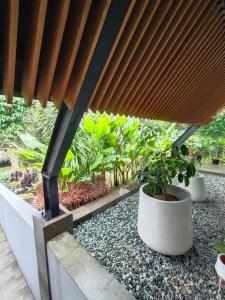 Κήπος έξω από το Cheerful 2 bedroom mountain villa