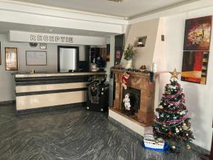 a lobby with a fireplace and a christmas tree at Hotel Rudo in Predeal
