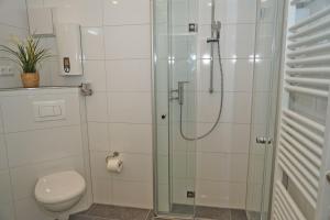 a bathroom with a shower and a toilet at Penthousewohnung mit Traumblick au in Damp