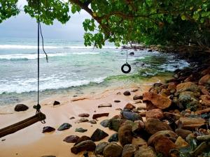 a swing hanging from a tree on a beach at Arachchi Guest House in Mirissa