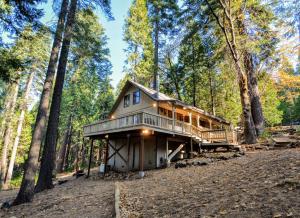 een huis in het bos met een groot terras bij Bear Mountain in Dorrington