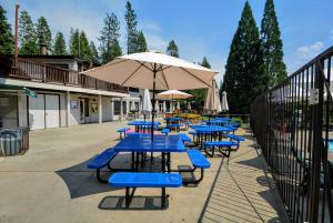 a group of tables with blue chairs and an umbrella at The Bears Bungalow in Arnold