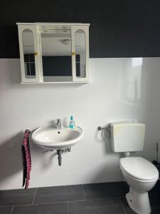 La salle de bains est pourvue de toilettes, d'un lavabo et d'un miroir. dans l'établissement AK Ferien-Monteurwohnung, à Olpe