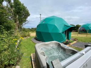 Benllech Glamping外面的花园