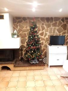 een kerstboom in een woonkamer met een open haard bij Maison proche Disneyland Paris in Ozoir-la-Ferrière