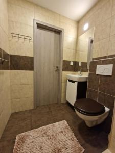 uma casa de banho com um WC e um lavatório em Apartman Valentina em Zlín