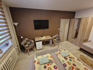 a living room with two beds and a television at Apartman Valentina in Zlín