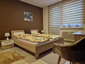 um quarto com uma cama e uma janela em Apartman Valentina em Zlín