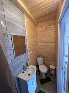 małą łazienkę z toaletą i umywalką w obiekcie Dva Braty eco w mieście Podobowiec