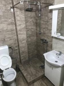 a bathroom with a shower and a toilet and a sink at Apartman Ika 5 S in Kraljevo