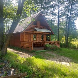 a log cabin in the woods with a porch at Ranczo Rykowisko in Kołodzieje