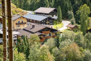 an aerial view of a house in a forest at Haus Diana in Wagrain