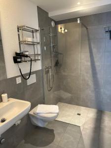 e bagno con doccia, servizi igienici e lavandino. di Aparthotel Krone - Self Check-In a Interlaken