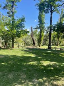 Un jardín fuera de La Casita del Bosque