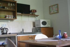 Kuchyň nebo kuchyňský kout v ubytování Nádherný klidný apartmán s infrasaunou