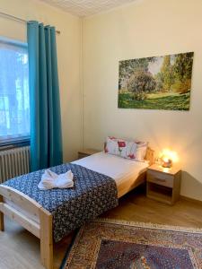 ein Schlafzimmer mit einem Bett und einem blauen Vorhang in der Unterkunft Zentral mit Entspannung pur in Mörfelden-Walldorf