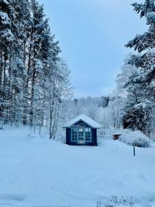 a small blue house in the snow with trees at Blueberry Villa at Saimaa Lakeside in Taipalsaari