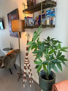 Fotografie z fotogalerie ubytování B&B Ereprijs v Haagu