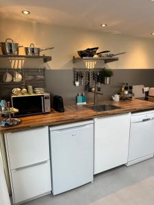 Kuchyň nebo kuchyňský kout v ubytování B&B Ereprijs