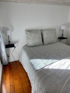 um quarto com uma cama com duas almofadas em Maison individuelle em Villecomtal-Sur-Arros