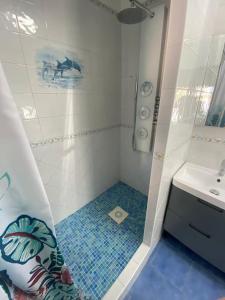 uma pequena casa de banho com um chuveiro e um lavatório. em Maison a deux pas de Perigueux quartier calme. em Coulounieix-Chamiers