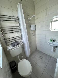 La salle de bains est pourvue de toilettes et d'un lavabo. dans l'établissement Breenville Farm House, à Tralee