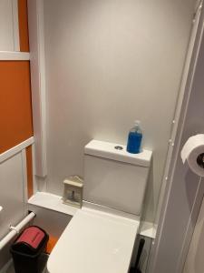 a bathroom with a toilet with a blue bottle on it at Acapulco Rooms in Portsmouth
