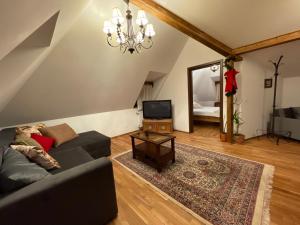 TV a/nebo společenská místnost v ubytování Apartament TISA - CĂTUN