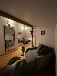 Posezení v ubytování Apartament TISA - CĂTUN + 12 fotografií