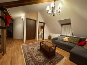 Posezení v ubytování Apartament TISA - CĂTUN