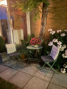 Zahrada ubytování B&B Ereprijs