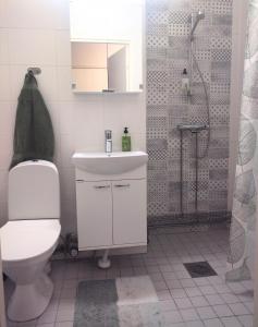 uma casa de banho com um WC, um lavatório e um chuveiro em Tilava kt Kaksio em Jalasjärvi