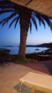 a table and a palm tree and a view of the ocean at Holiday House Rivi in Milna
