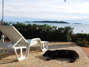 a black dog laying on the ground next to a chair at Holiday House Rivi in Milna