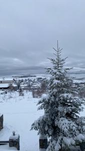Kép E L chalet. A cosy mountain retreat. szállásáról Paleósz Ájosz Athanászioszban a galériában