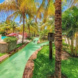 un complejo con una piscina y una palmera en Quarto Barretos Country Resort, en Barretos