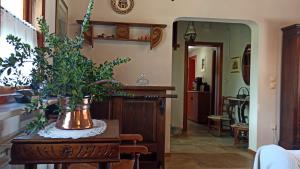Część wypoczynkowa w obiekcie Nafpaktos cottage by the sea for travelers and dreamers!