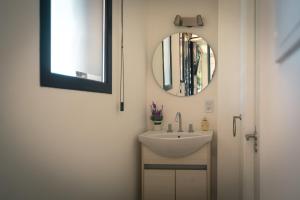 a bathroom with a sink and a mirror at Lodwine Lodge Apartments in Ciudad Lujan de Cuyo
