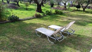 Ogród w obiekcie Nafpaktos cottage by the sea for travelers and dreamers!
