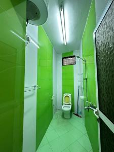 a bathroom with green walls and a toilet at Yahya Apartments in Ngambo