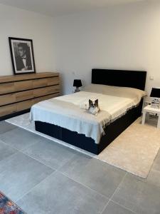 un perro acostado en una cama en un dormitorio en Smart Dog en Colonia