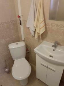 a bathroom with a white toilet and a sink at Lovely studio in Dragoman with garden and garage in Dragoman