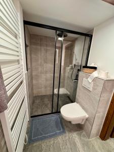 a bathroom with a toilet and a glass shower at Alpl Resort in Krieglach