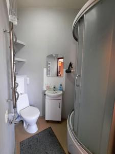 uma casa de banho com um chuveiro, um WC e um lavatório. em Двокімнатна квартира в центрі біля готелю Палаццо Мережа Alex Apartments Безконтакнте заселення 24-7 em Poltava